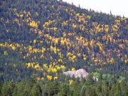 aspens_part_1