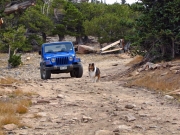 mark_on_the_trail