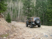 bob_on_the_trail