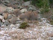first_sign_of_snow