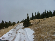 open_section