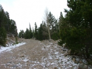 snow_on_the_trail