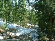snow_near_the_top