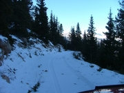 following_tracks