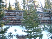 old_cabin