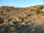 little-used_trail