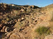 rock_slide