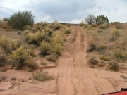 roller_coaster_trail