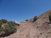 loose_climb