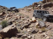 on_the_trail