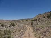 through_the_desert
