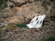 green_water