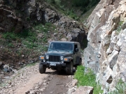 ladd_on_the_trail