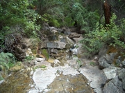 mossy_rocks