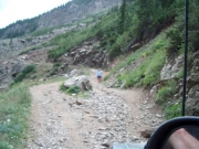 rock_in_the_trail
