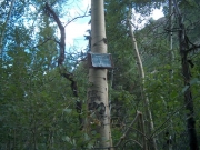 sign_number_4