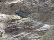 ben_down_devils_punchbowl_part_1