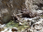 clear_water