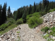 little_shelf_road