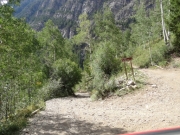 start_of_the_trail