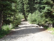 wooden_bridge_part_1