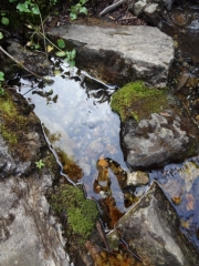 wooden_bridge_waterfall_part_4