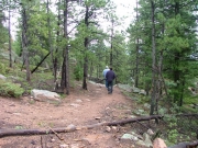 hiking_trail