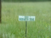 little_sign