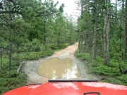 puddle
