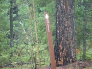 sign_at_crossroads_part_3