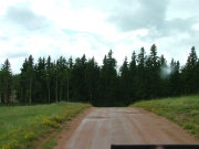 wet_road