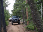 terry_on_the_trail_part_1