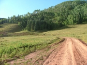 dirt_trail