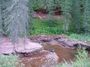 scotch_creek