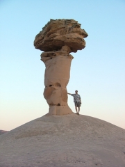 don_at_the_secret_spire_part_2