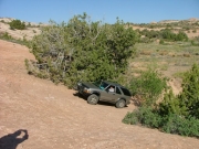 steve_up_the_fin_part_1