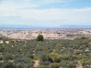 big_view