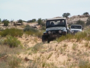 bob_on_the_trail