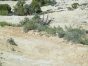 down_a_hill