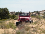mark_on_the_trail