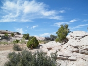 moab_scenery
