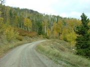 aspens_part_1
