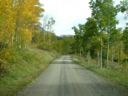 aspens_part_2