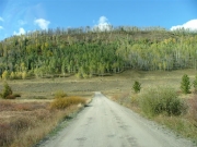 aspens_part_3
