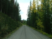 between_trees