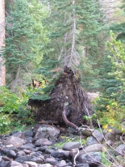 blowdown_part_1