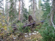 blowdown_part_2