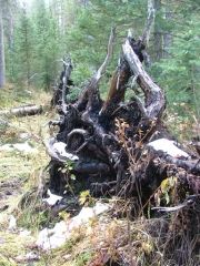 blowdown_part_4
