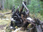 blowdown_part_5