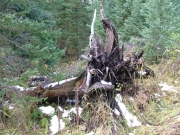 blowdown_part_6